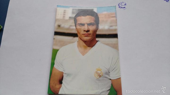 Colecionismo desportivo: postal  jugador real madrid  san jose