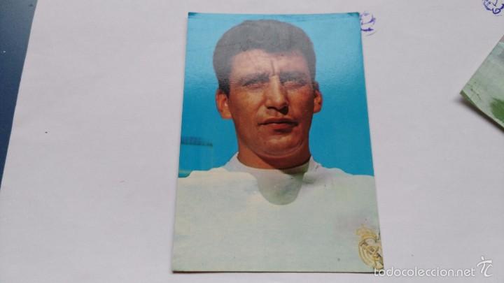 Colecionismo desportivo: postal  jugador real madrid  pachin