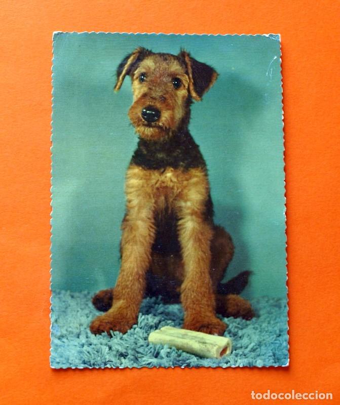 Sammelleidenschaft Sport: Postal Antigua - Ediciones Ancla 3021 - no circulada