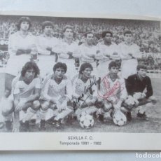Coleccionismo deportivo: FOTOGRAFÍA DEL: SEVILLA F. C.- TEMPORADA 1981-1982-MIDE 1.5 X 19.05 CM.