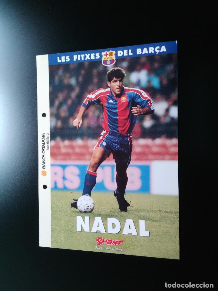 Taza Equipos De Fútbol Uefa, Liga De Española Barcelona. | Meses sin