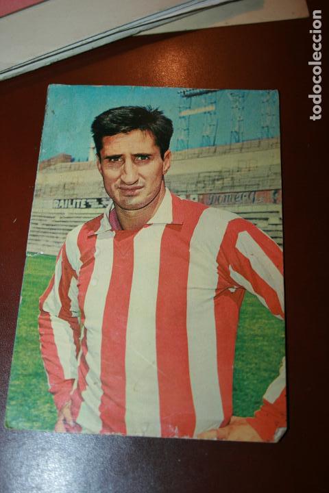 Coleccionismo deportivo: Postal  del Atletico de Madrid, Calleja.. foto segui 15 x 10 cms