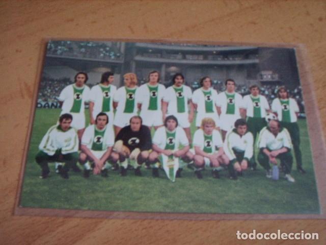 Sammelleidenschaft Sport: RAPID WIEN  ( AUSTRIA ) A&Ntilde;OS 70/80