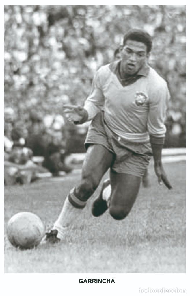 Colecionismo desportivo: GARRINCHA - Legends of football series 2010 Photo postcard unused