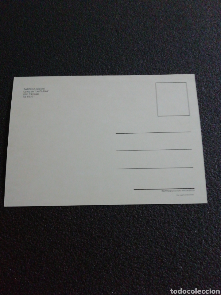 Coleccionismo deportivo: Postal CAMP DE LA PLANA - TARREGA (Lleida) - Foto 2