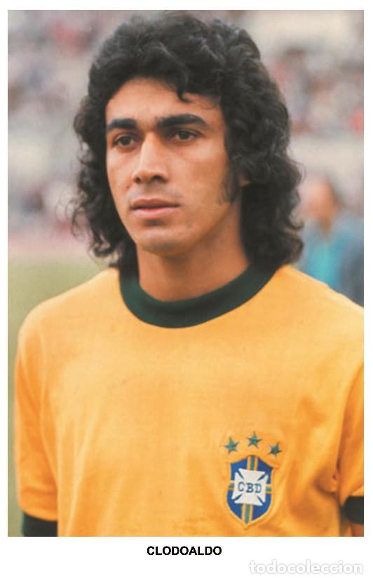 Colecionismo desportivo: CLODOALDO - Legends of football series 2010 PHOTO POSTCARD - Size 9x14 cm.
