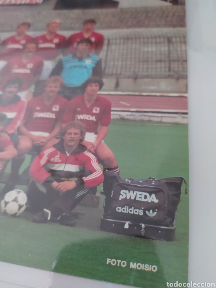 Coleccionismo deportivo: Foto Torino calcio 1984-85 - Foto 4