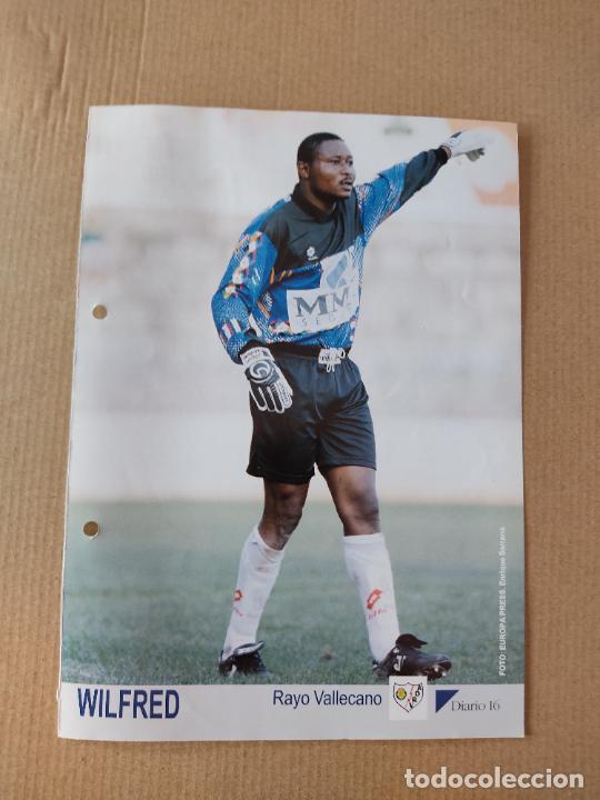 Coleccionismo deportivo: WILFRED RAYO VALLECANO TIPO LAMINA POSTAL DIARIO 16 MEJORES LIGA 93-94 FUTBOL 1993-1994