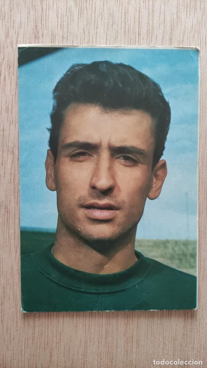 Coleccionismo deportivo: POSTAL SADURNI C F BARCELONA