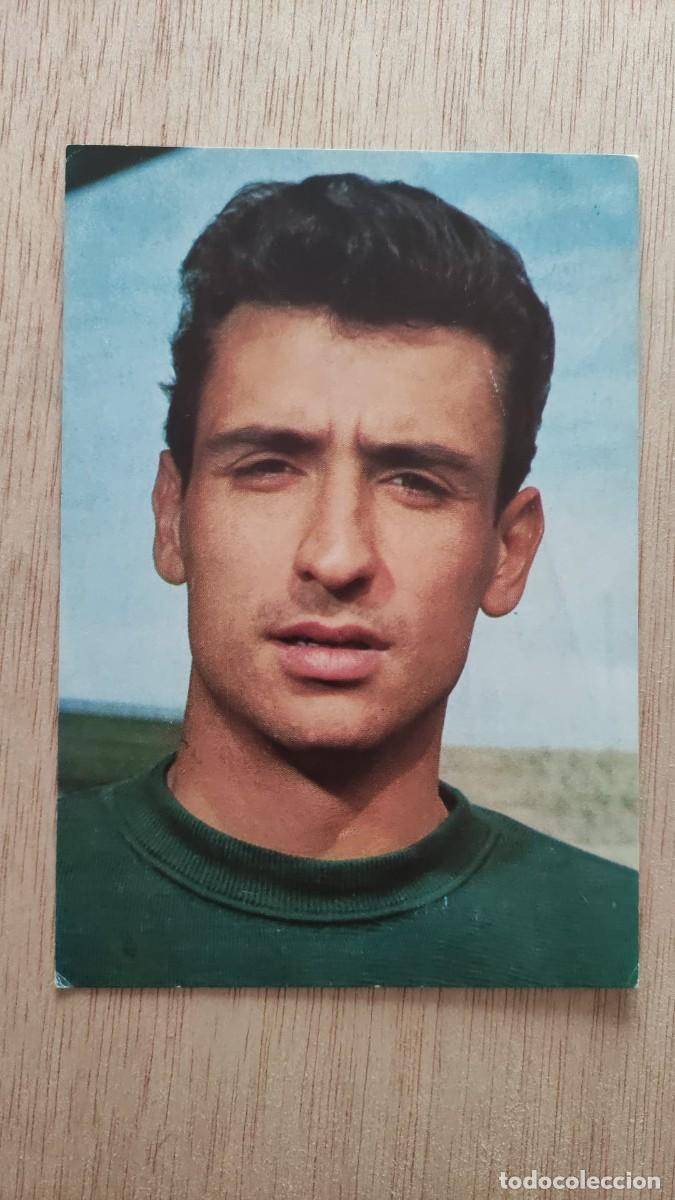 Coleccionismo deportivo: POSTAL SADURNI C F BARCELONA