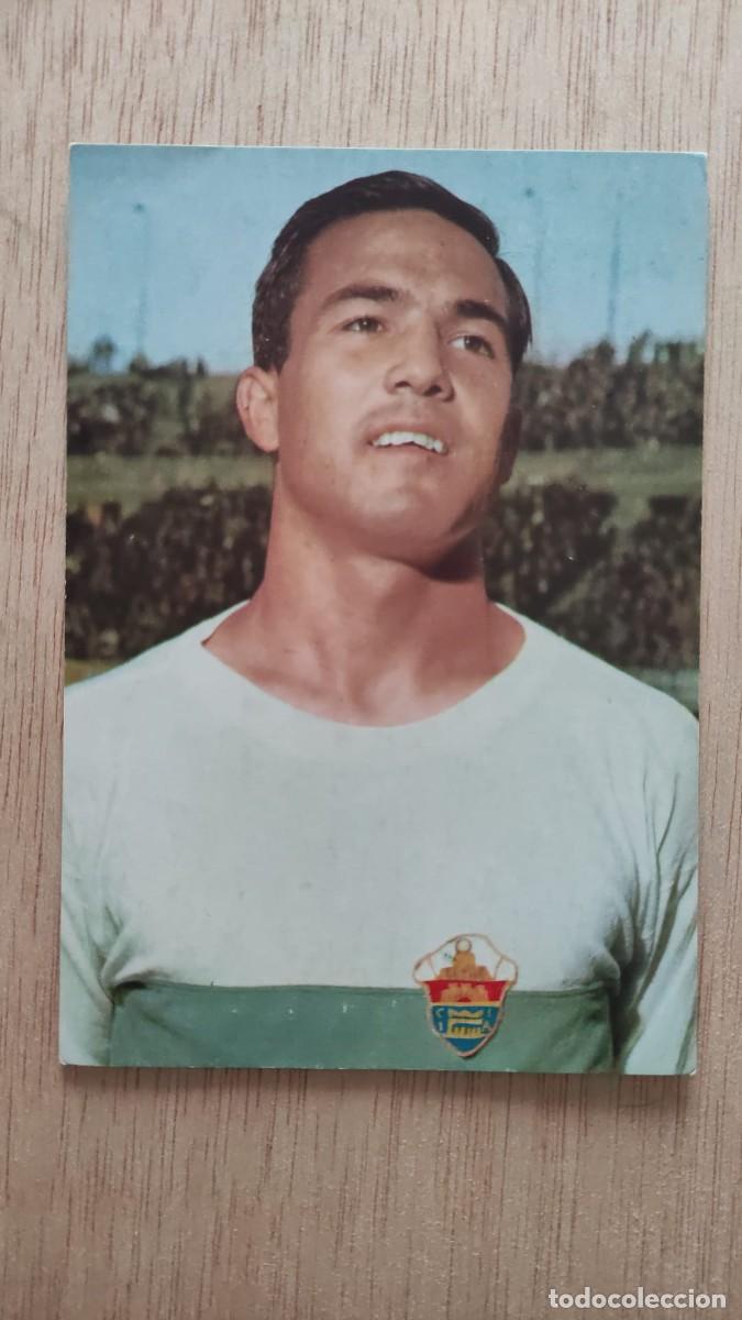 Coleccionismo deportivo: POSTAL VAVA ELCHE C F