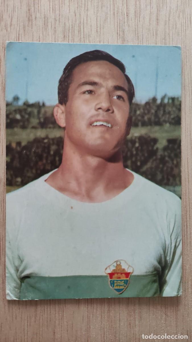Coleccionismo deportivo: POSTAL VAVA ELCHE C F
