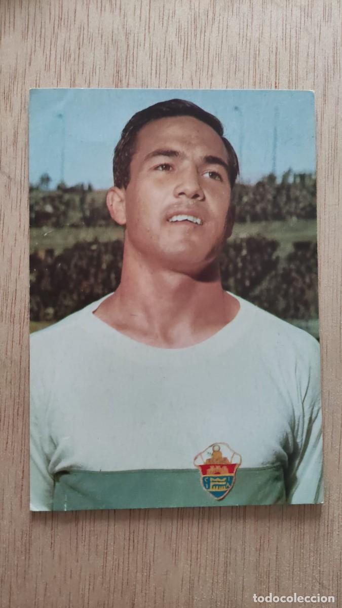 Coleccionismo deportivo: POSTAL VAVA ELCHE C F