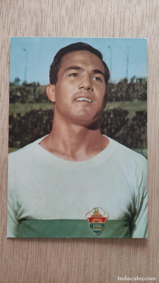 Coleccionismo deportivo: POSTAL VAVA ELCHE C F