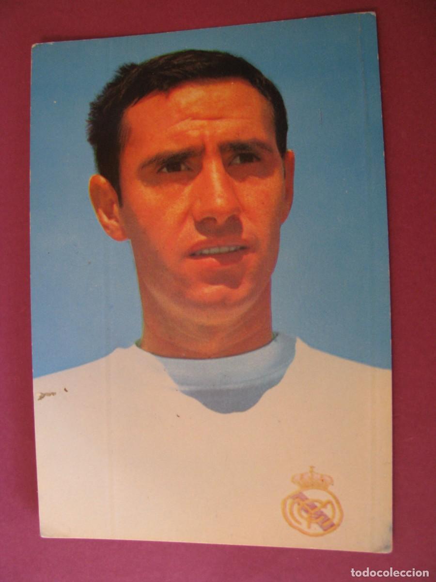 Coleccionismo deportivo: POSTAL DE REAL MADRID. BERGAS 1967. FELIZ RUIZ