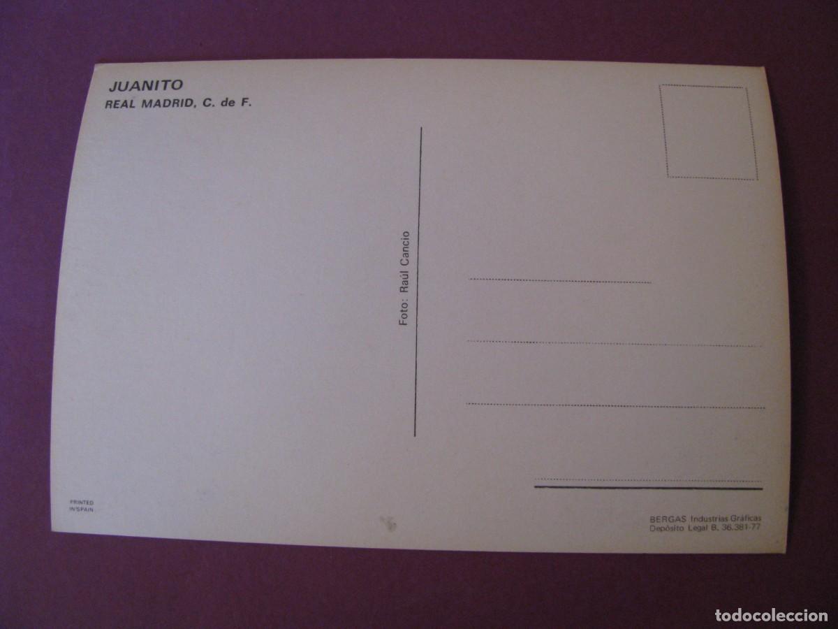 Coleccionismo deportivo: POSTAL DE REAL MADRID. BERGAS. JUANITO - Foto 2
