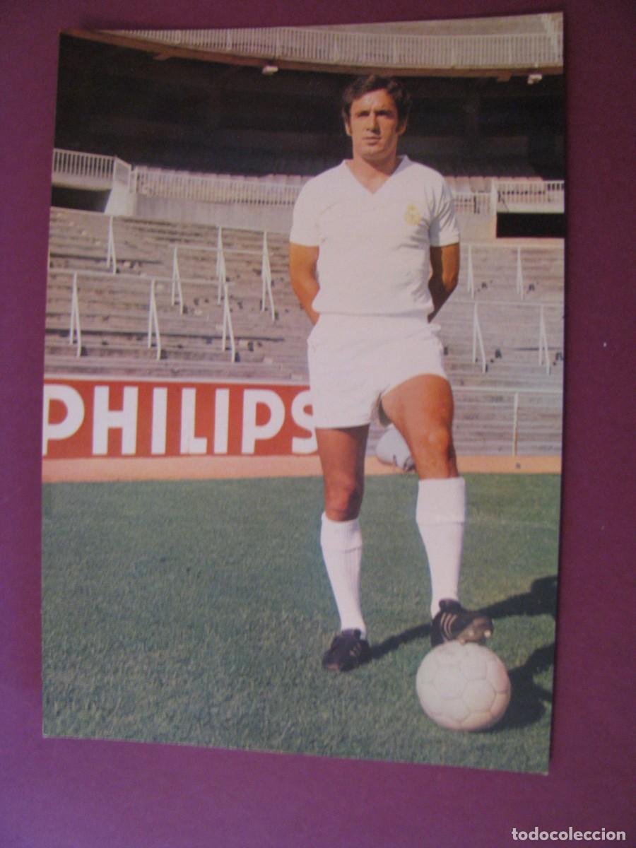 Coleccionismo deportivo: POSTAL DE REAL MADRID. BERGAS 1973. BENITO RUBI&Ntilde;AN SOUTULLO