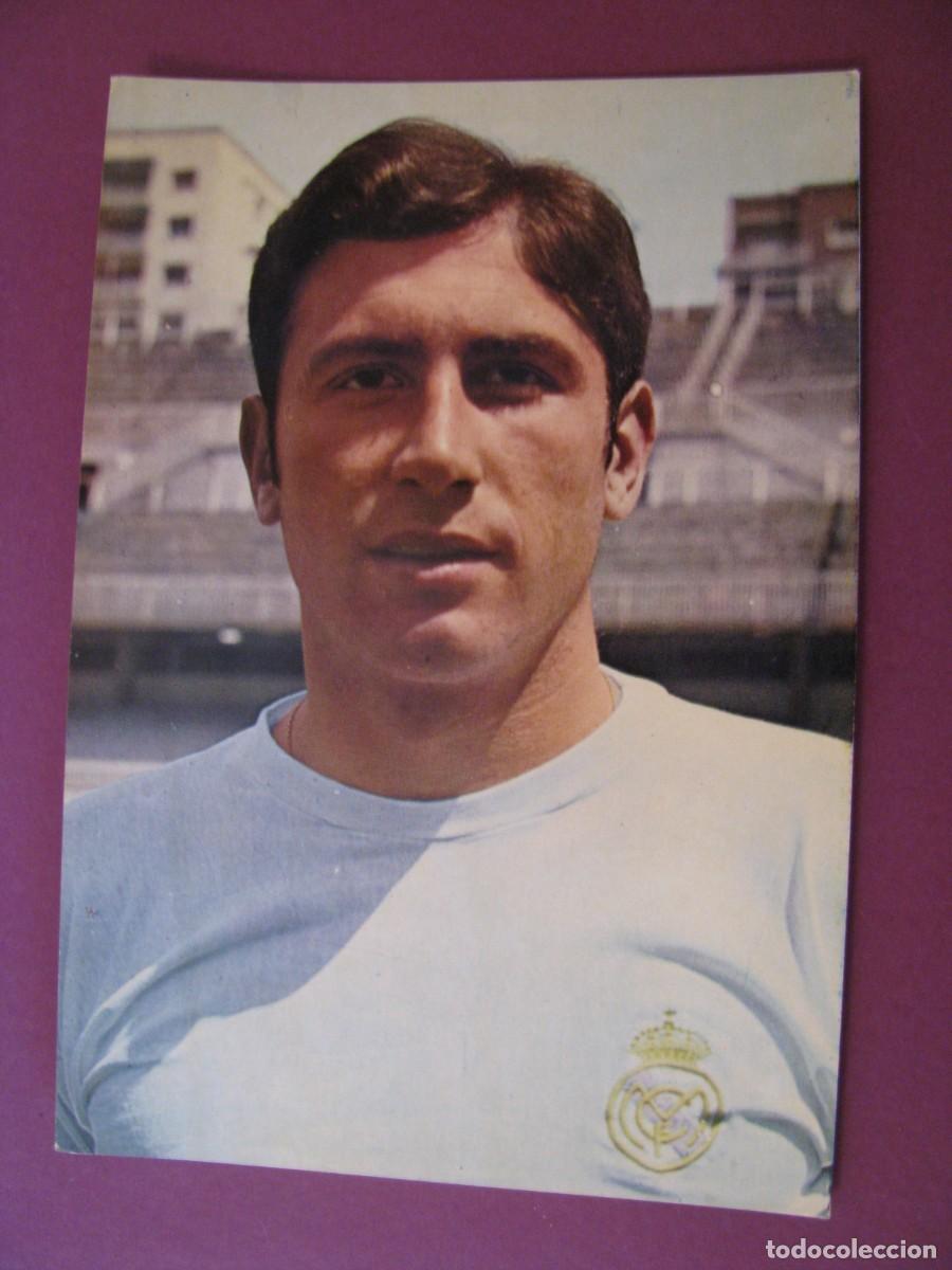 Coleccionismo deportivo: POSTAL DE REAL MADRID. BERGAS. GRANDE