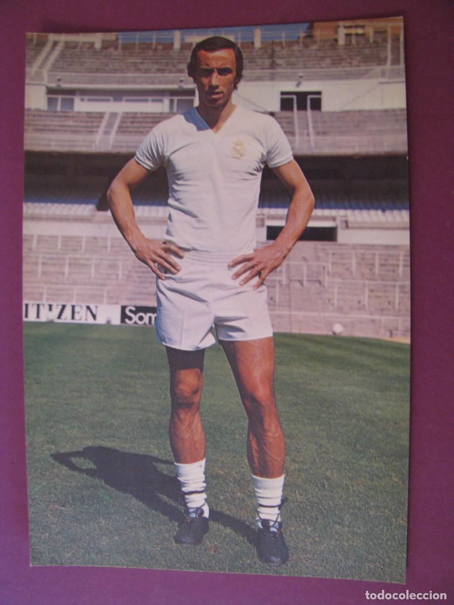 Coleccionismo deportivo: POSTAL DE REAL MADRID. BERGAS 1974. ROBERTO MARTINEZ