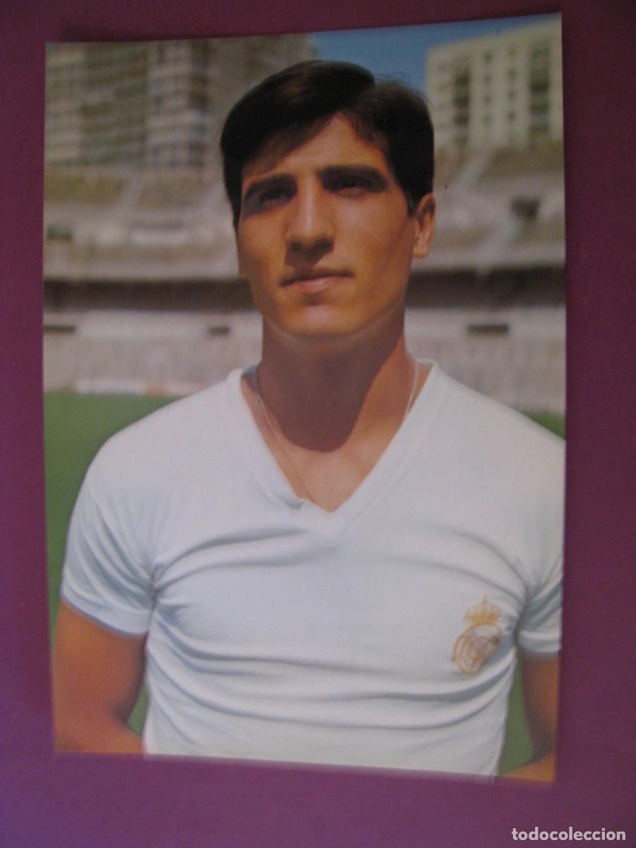 Coleccionismo deportivo: POSTAL DE REAL MADRID. BERGAS. SABIDO