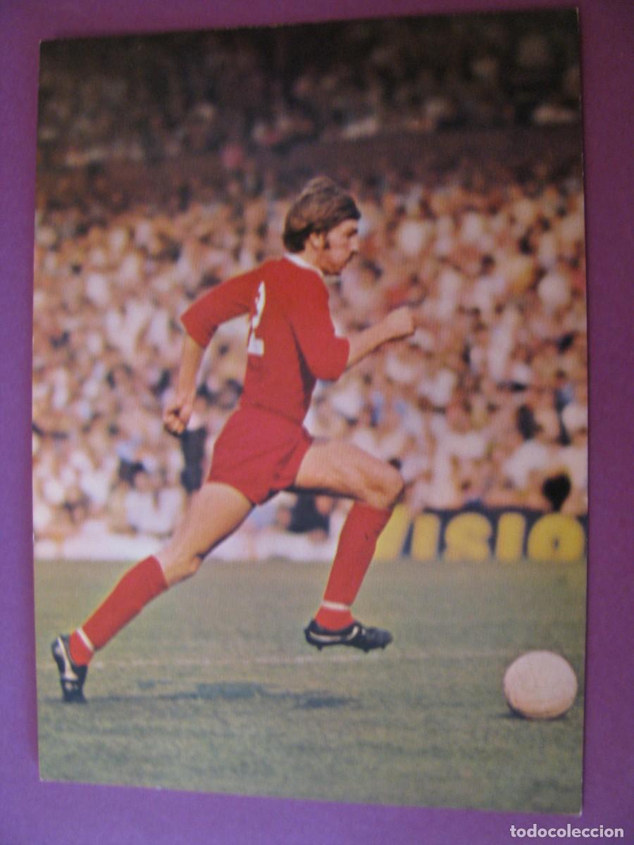 Coleccionismo deportivo: POSTAL DEL JUGADOR DE LIVERPOOL F. C. STEVE HEIGHWAY