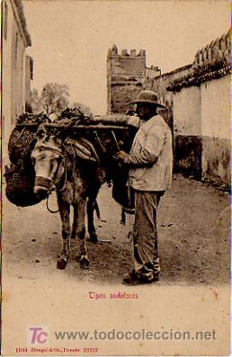 Postales: TIPOS ANDALUCES. 1904 STENGEL & CO. - Foto 1