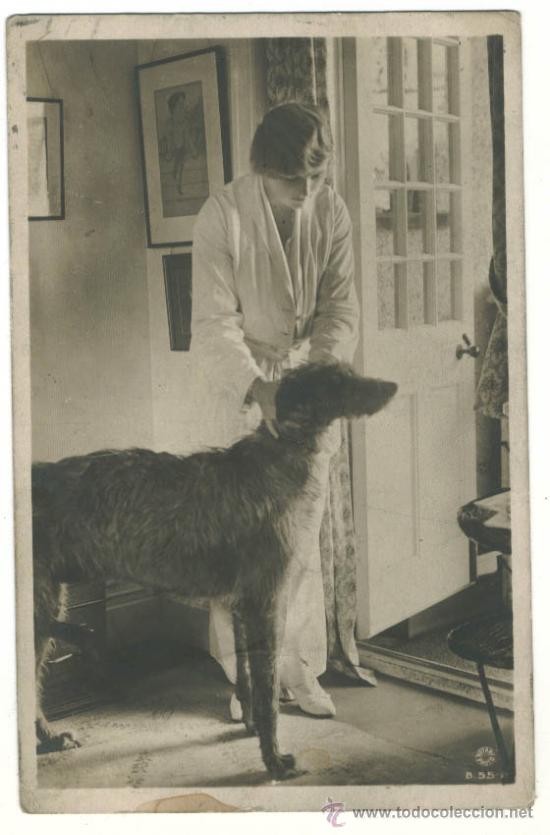 Postales: Actriz Gladys COOPER - Foto 1