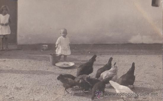 Cartoline: Postal antigua, Checoslovaquia , ni&ntilde;os , gallinas , moda, 14