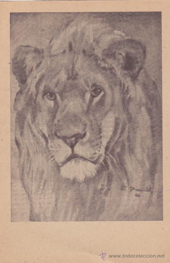 Cartoline: Postal antigua, , animales , leon, 14