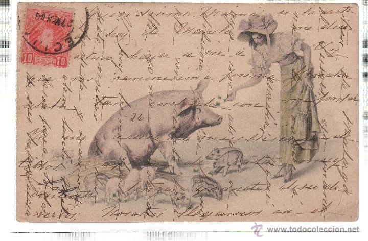 Postales: TARJETA POSTAL DE VIENNE. - Foto 1
