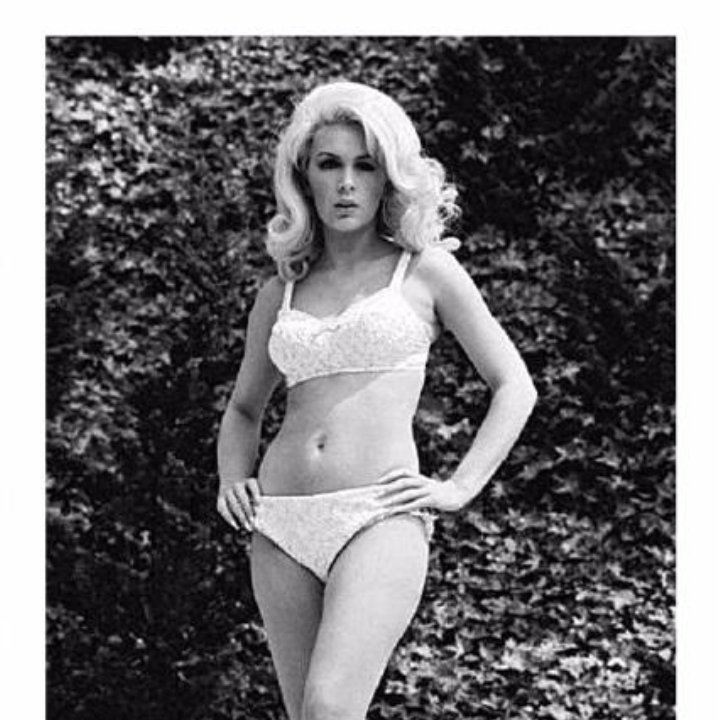 Pictures stella stevens playboy Playmate of