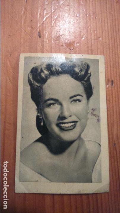 Postales: terry moore capitan king - Foto 1
