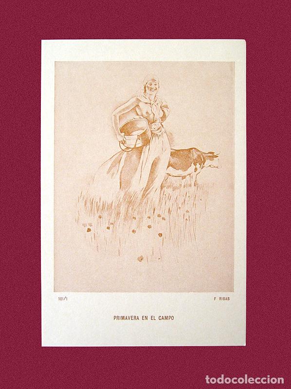 Postales: FEDERICO RIBAS - LOTE DE 5 POSTALES - Foto 4