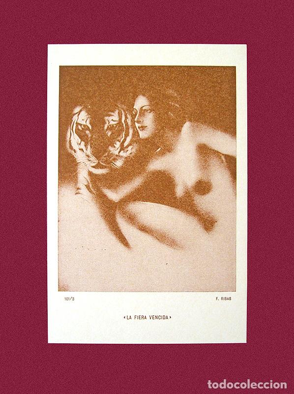 Postales: FEDERICO RIBAS - LOTE DE 5 POSTALES - Foto 6
