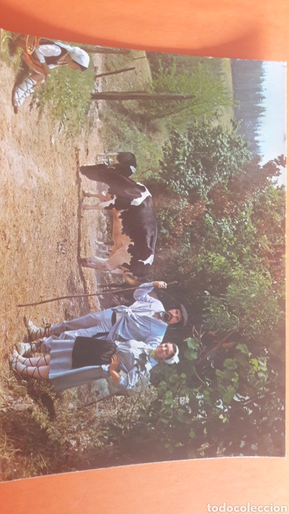 Postales: Programa Tarde 1985 Tipico Vasco - Foto 1