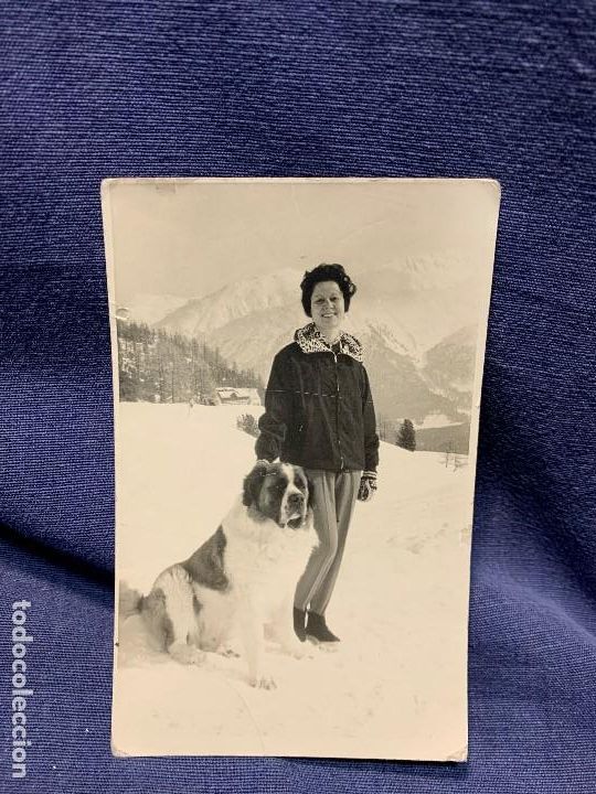 Postales: foto postal mujer nieve alpes suiza san bernardo esqui monta&ntilde;a invierno