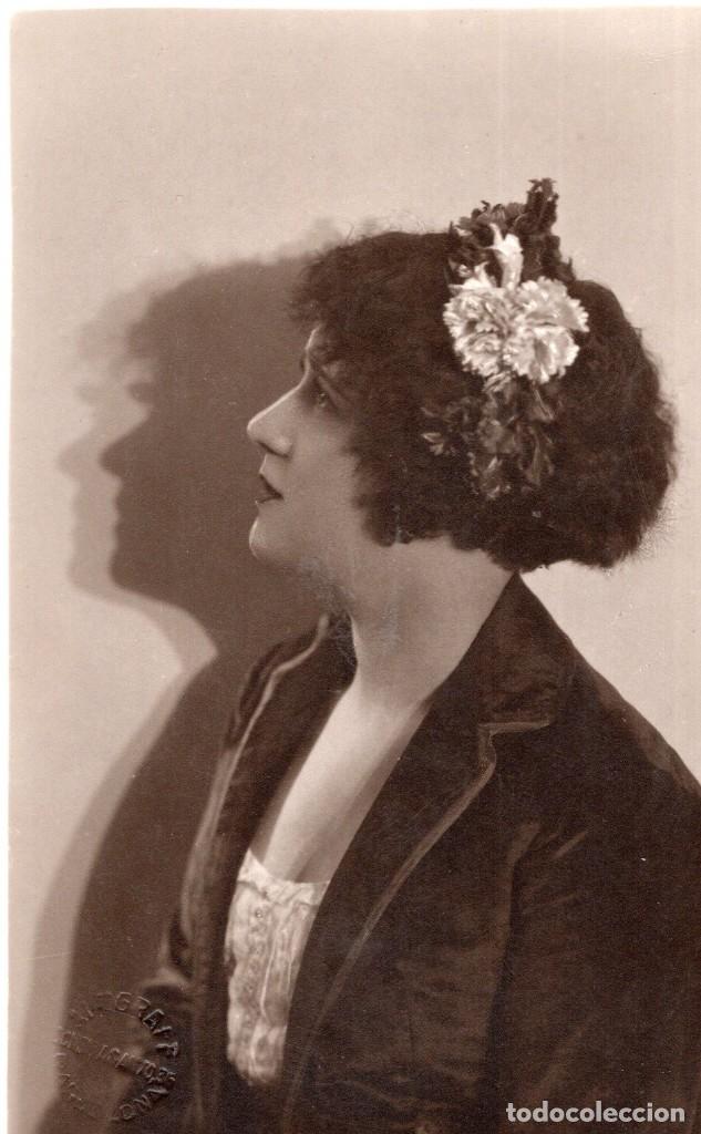 Postales: mimosa - Foto 1