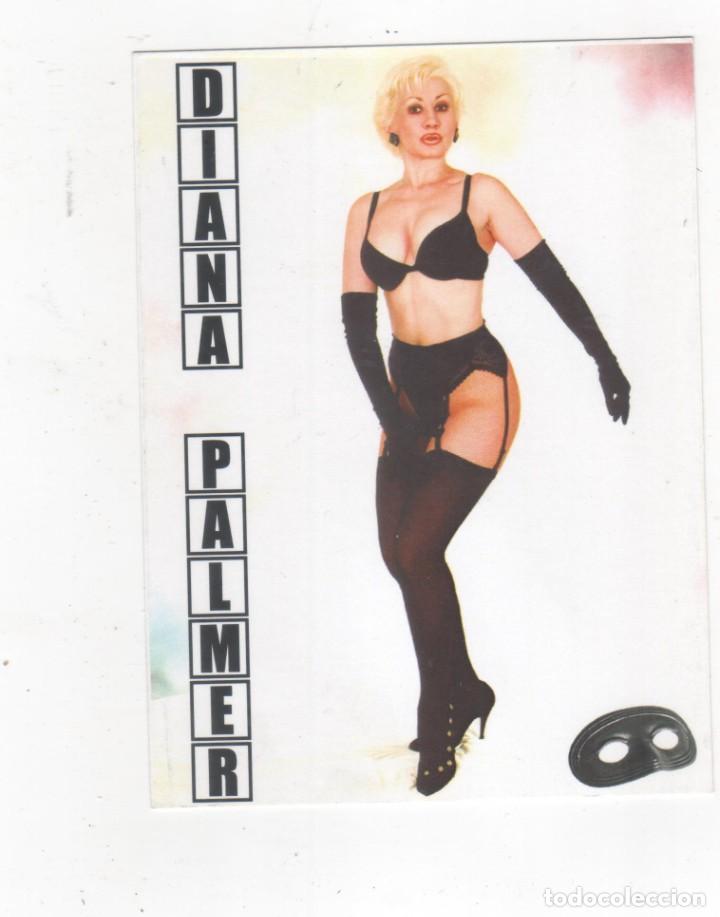 Postales: Diana Palmer. - Foto 1