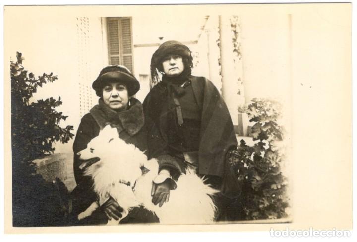 Postais: POSTAL FOTOGRAFICA: 2 MUJERES CON PERRO BLANCO. A&Ntilde;OS 20 - sin circular