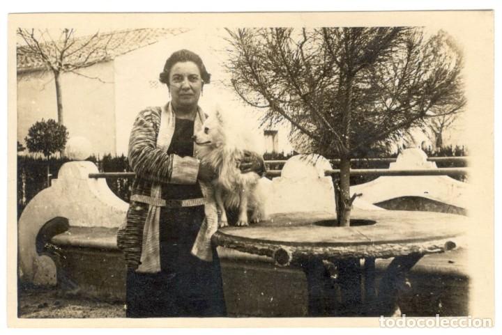 Postais: POSTAL FOTOGRAFICA: MUJER CON PERRITO - A&Ntilde;OS 20 - sin circular