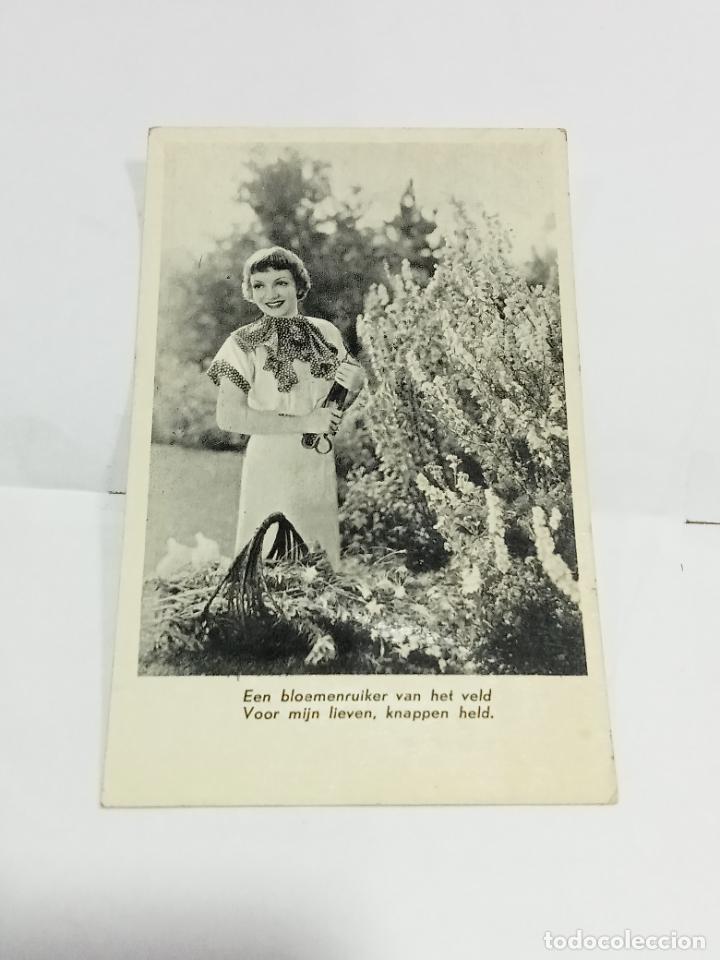 Cartoline: TARJETA POSTAL. BELLA JOVEN RECOGIENDO FLORES EN EL CAMPO Y COLOCANDO EN CESTO