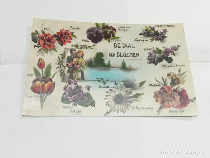 Cartoline: TARJETA POSTAL. IMAGEN DE ENAMORADOS EN LAGO Y RODEADO DE IM&Aacute;GENES Y NOMBRES DE FLORES