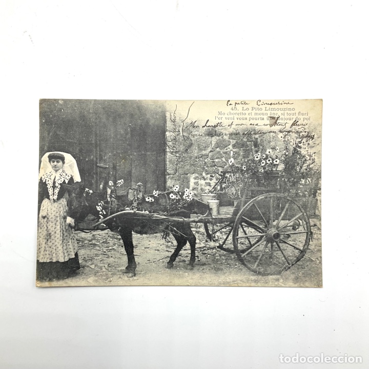 Cartoline: 45 Lo Pito Limouzino. Mo choretto et moun &acirc;ne, si tout fluri l&rsquo;er veni vous pourta un bonjour do poi