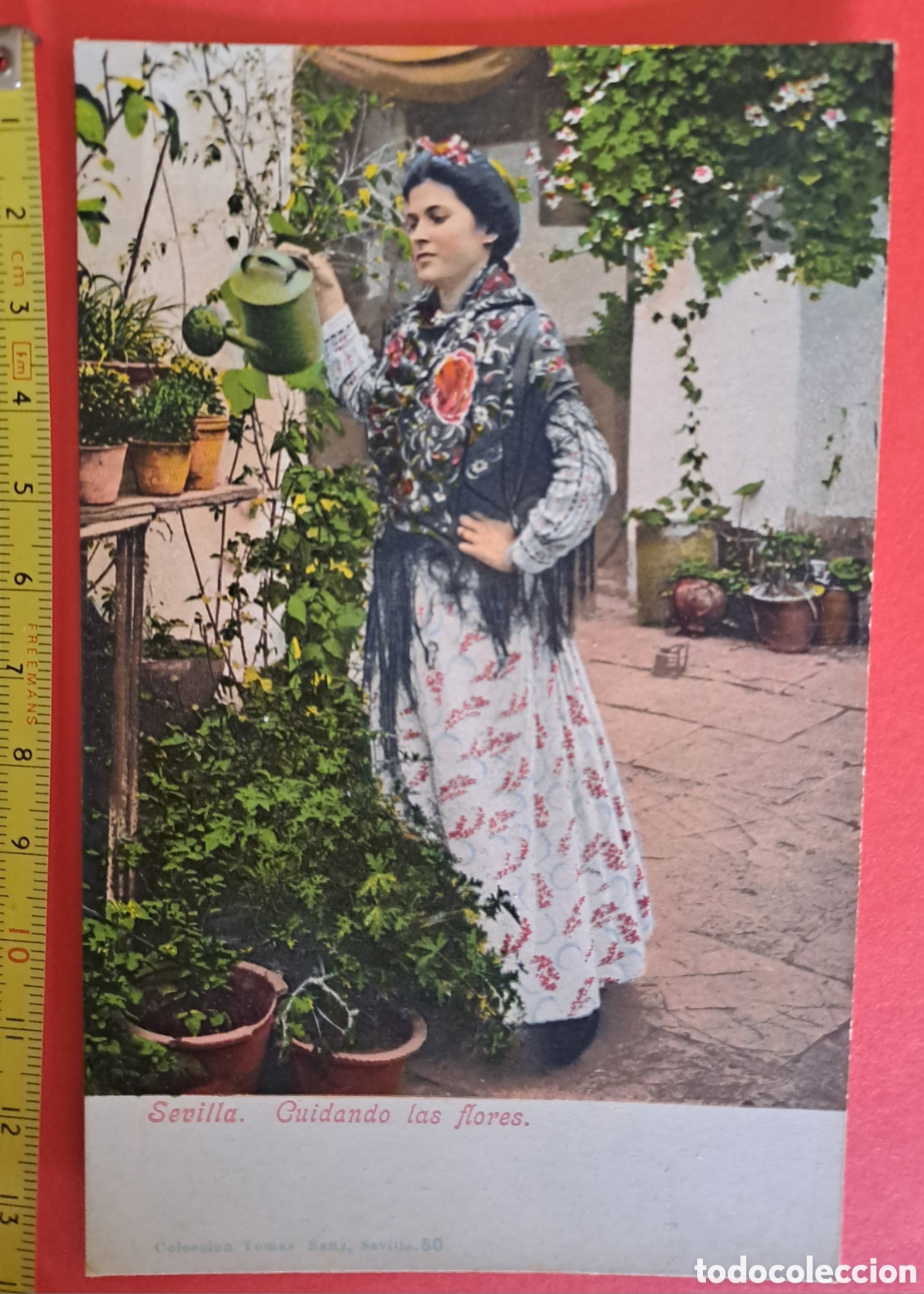 Postales: TARJETA POSTAL SEVILLA CUIDANDO LAS FLORES - Foto 1