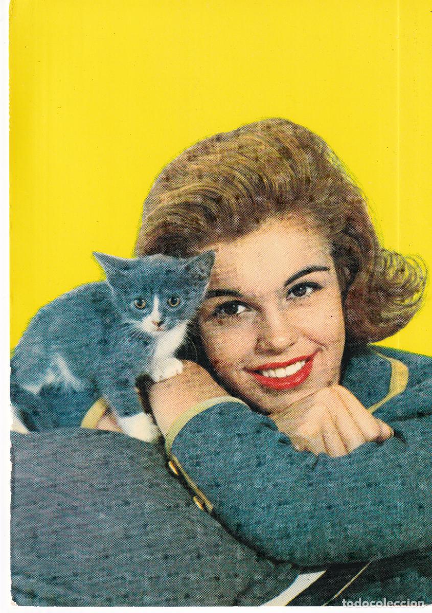 Postcards: CHICA JOVEN GATO