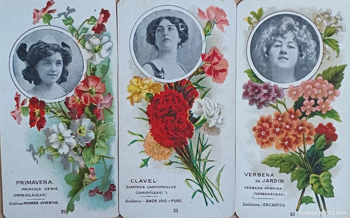 Postcards: Artistas. Publicidad Besoy.