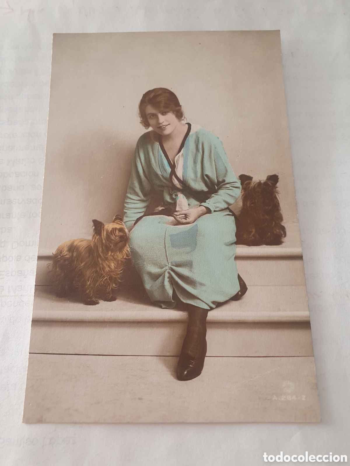 Postales: Antigua postal mujer con perros. (L85) - Foto 1