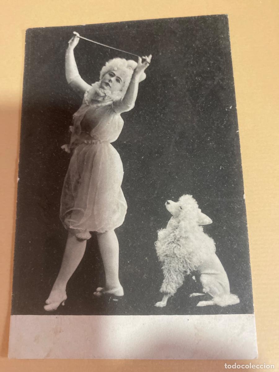 Cartoline: Dorso sin partir. Sin circular