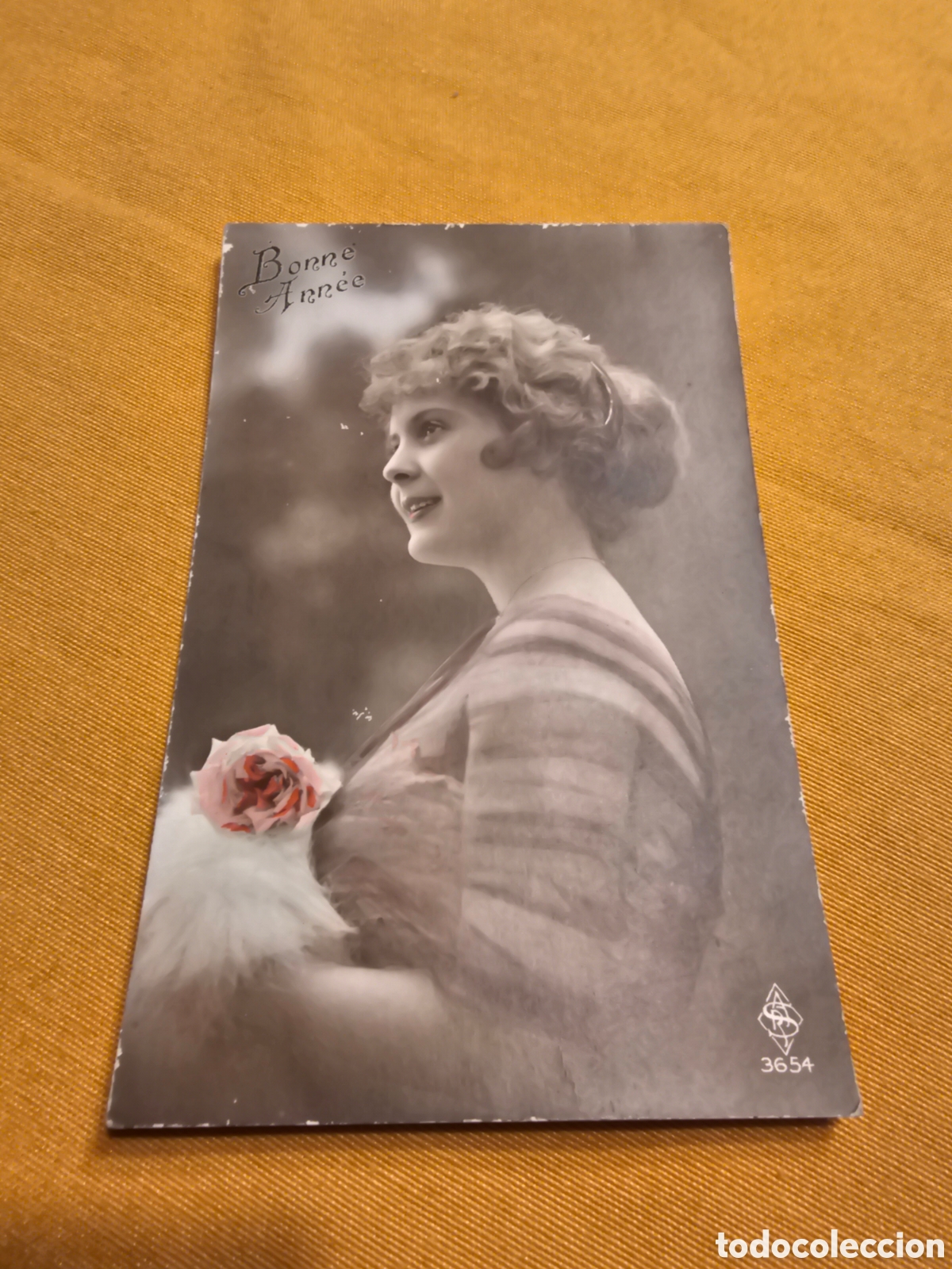 Postais: ANTIGUA POSTAL FRANCESA. CIRCULADA