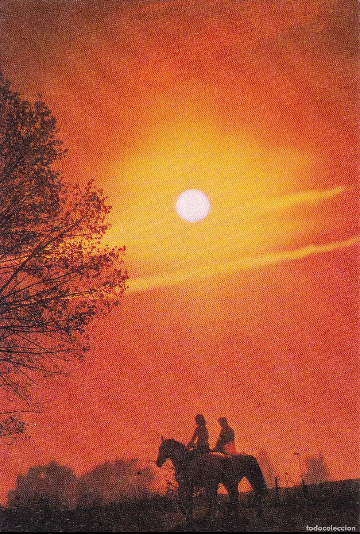 Postais: POSTAL ROMANTICA, PUESTA DE SOL - EDITA CyZ 7904-D - S/C